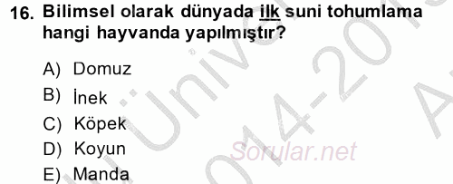 Doğum Bilgisi ve Suni Tohumlama 2014 - 2015 Ara Sınavı 16.Soru