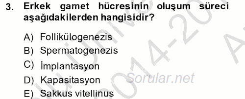 Doğum Bilgisi ve Suni Tohumlama 2014 - 2015 Ara Sınavı 3.Soru