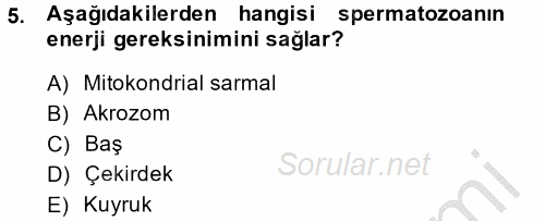 Doğum Bilgisi ve Suni Tohumlama 2014 - 2015 Ara Sınavı 5.Soru