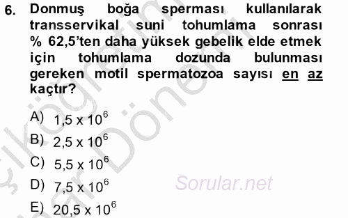 Doğum Bilgisi ve Suni Tohumlama 2014 - 2015 Ara Sınavı 6.Soru