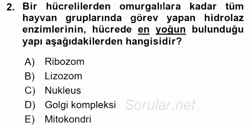 Genel Biyoloji 2 2016 - 2017 Dönem Sonu Sınavı 2.Soru