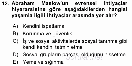 Özel Güvenlik Hizmetlerinde Güvenlik Önlemleri 2016 - 2017 Dönem Sonu Sınavı 12.Soru