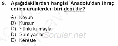 Türkiye´nin Kültürel Mirası 2 2013 - 2014 Tek Ders Sınavı 9.Soru