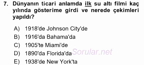 Videonun Kullanım Alanları 2016 - 2017 Dönem Sonu Sınavı 7.Soru