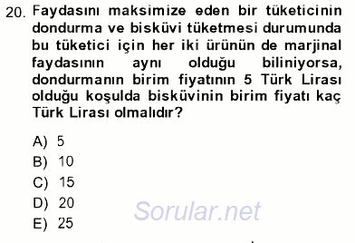 İktisada Giriş 1 2013 - 2014 Ara Sınavı 20.Soru