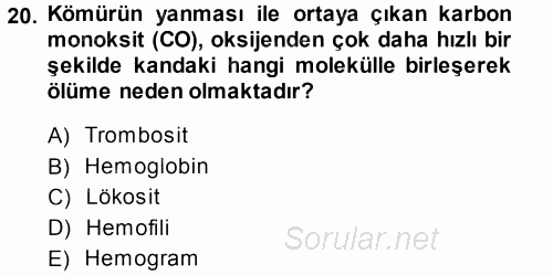 Ekoloji ve Turizm 2013 - 2014 Ara Sınavı 20.Soru