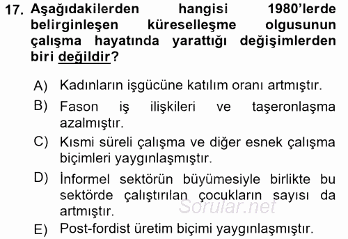 Çalışma Yaşamının Denetimi 2017 - 2018 Dönem Sonu Sınavı 17.Soru