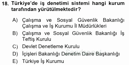 Çalışma Yaşamının Denetimi 2017 - 2018 Dönem Sonu Sınavı 18.Soru
