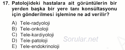 Sağlık Kurumlarında Bilgi Sistemleri 2013 - 2014 Dönem Sonu Sınavı 17.Soru
