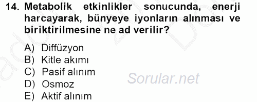 Toprak Bilgisi ve Bitki Besleme 2012 - 2013 Dönem Sonu Sınavı 14.Soru