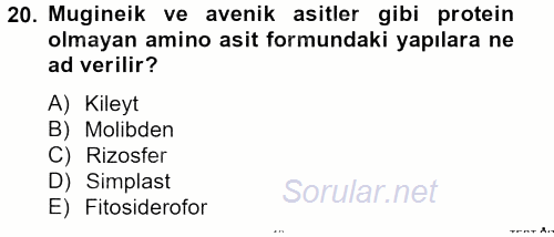 Toprak Bilgisi ve Bitki Besleme 2012 - 2013 Dönem Sonu Sınavı 20.Soru