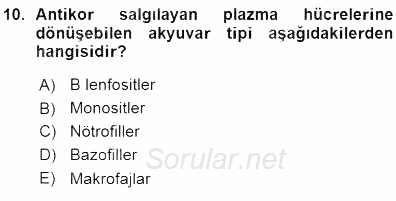 Temel Veteriner Fizyoloji 2015 - 2016 Ara Sınavı 10.Soru
