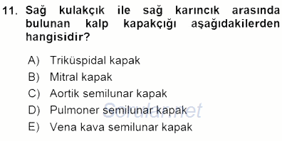 Temel Veteriner Fizyoloji 2015 - 2016 Ara Sınavı 11.Soru