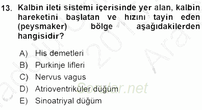 Temel Veteriner Fizyoloji 2015 - 2016 Ara Sınavı 13.Soru