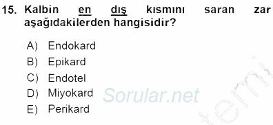 Temel Veteriner Fizyoloji 2015 - 2016 Ara Sınavı 15.Soru