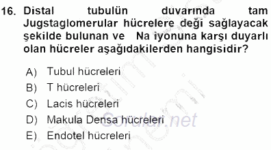 Temel Veteriner Fizyoloji 2015 - 2016 Ara Sınavı 16.Soru