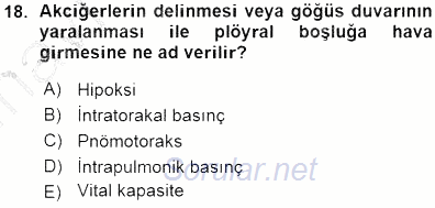 Temel Veteriner Fizyoloji 2015 - 2016 Ara Sınavı 18.Soru