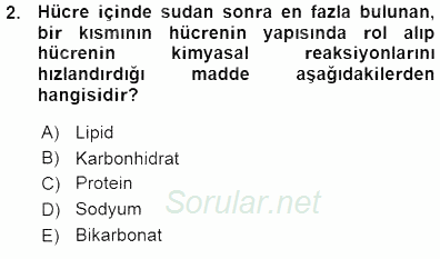 Temel Veteriner Fizyoloji 2015 - 2016 Ara Sınavı 2.Soru