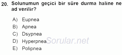 Temel Veteriner Fizyoloji 2015 - 2016 Ara Sınavı 20.Soru