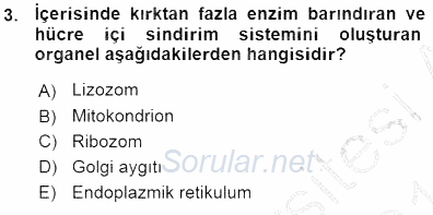 Temel Veteriner Fizyoloji 2015 - 2016 Ara Sınavı 3.Soru