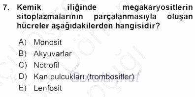 Temel Veteriner Fizyoloji 2015 - 2016 Ara Sınavı 7.Soru