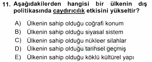 Diş Politika Analizi 2017 - 2018 Dönem Sonu Sınavı 11.Soru