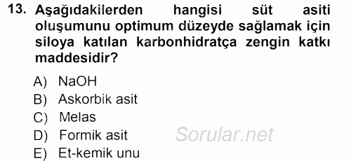 Temel Yem Bilgisi ve Hayvan Besleme 2012 - 2013 Dönem Sonu Sınavı 13.Soru