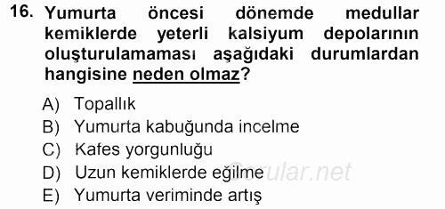 Temel Yem Bilgisi ve Hayvan Besleme 2012 - 2013 Dönem Sonu Sınavı 16.Soru