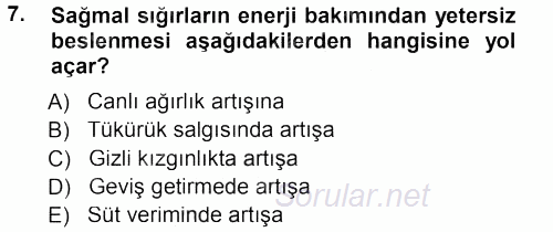 Temel Yem Bilgisi ve Hayvan Besleme 2012 - 2013 Dönem Sonu Sınavı 7.Soru