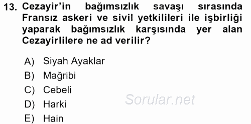 Modern Ortadoğu Tarihi 2015 - 2016 Tek Ders Sınavı 13.Soru