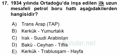 Modern Ortadoğu Tarihi 2015 - 2016 Tek Ders Sınavı 17.Soru