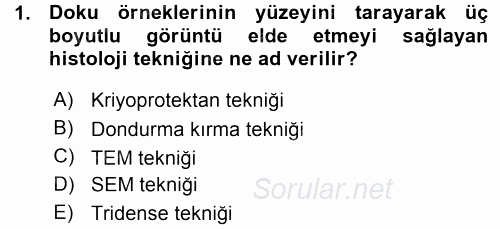 Temel Veteriner Histoloji ve Embriyoloji 2015 - 2016 Ara Sınavı 1.Soru