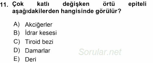 Temel Veteriner Histoloji ve Embriyoloji 2015 - 2016 Ara Sınavı 11.Soru