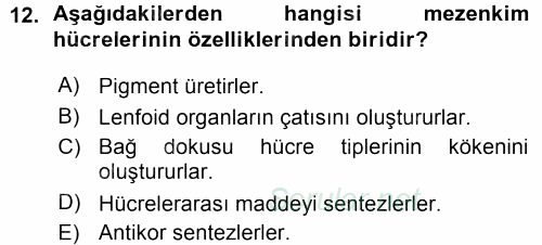 Temel Veteriner Histoloji ve Embriyoloji 2015 - 2016 Ara Sınavı 12.Soru