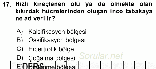 Temel Veteriner Histoloji ve Embriyoloji 2015 - 2016 Ara Sınavı 17.Soru
