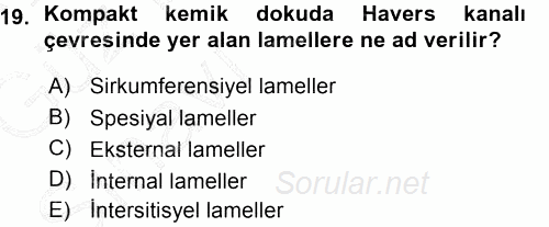 Temel Veteriner Histoloji ve Embriyoloji 2015 - 2016 Ara Sınavı 19.Soru