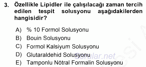 Temel Veteriner Histoloji ve Embriyoloji 2015 - 2016 Ara Sınavı 3.Soru