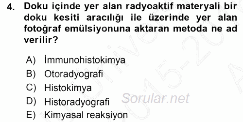 Temel Veteriner Histoloji ve Embriyoloji 2015 - 2016 Ara Sınavı 4.Soru