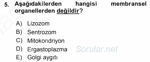Temel Veteriner Histoloji ve Embriyoloji 2015 - 2016 Ara Sınavı 5.Soru