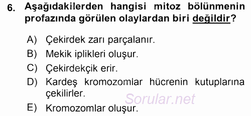 Temel Veteriner Histoloji ve Embriyoloji 2015 - 2016 Ara Sınavı 6.Soru