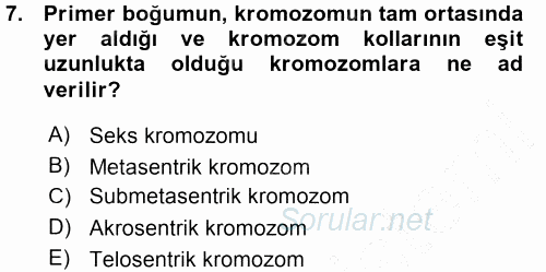 Temel Veteriner Histoloji ve Embriyoloji 2015 - 2016 Ara Sınavı 7.Soru