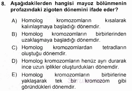 Temel Veteriner Histoloji ve Embriyoloji 2015 - 2016 Ara Sınavı 8.Soru