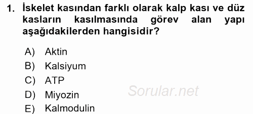 İnsan Beden Yapısı Ve Fizyolojisi 2017 - 2018 Dönem Sonu Sınavı 1.Soru