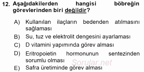 İnsan Beden Yapısı Ve Fizyolojisi 2017 - 2018 Dönem Sonu Sınavı 12.Soru