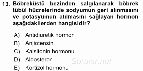 İnsan Beden Yapısı Ve Fizyolojisi 2017 - 2018 Dönem Sonu Sınavı 13.Soru