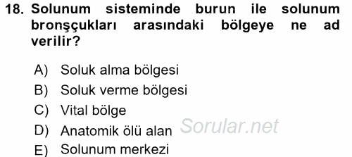 İnsan Beden Yapısı Ve Fizyolojisi 2017 - 2018 Dönem Sonu Sınavı 18.Soru