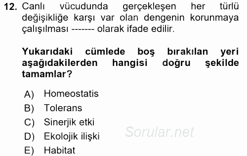 Ekoloji ve Çevre Bilgisi 2017 - 2018 Ara Sınavı 12.Soru