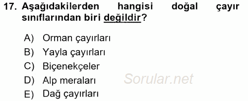 Ekoloji ve Çevre Bilgisi 2017 - 2018 Ara Sınavı 17.Soru