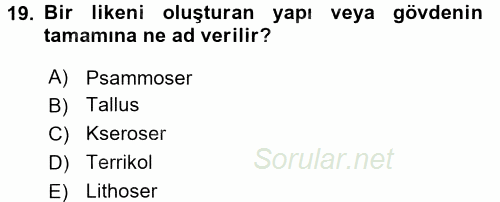 Ekoloji ve Çevre Bilgisi 2017 - 2018 Ara Sınavı 19.Soru