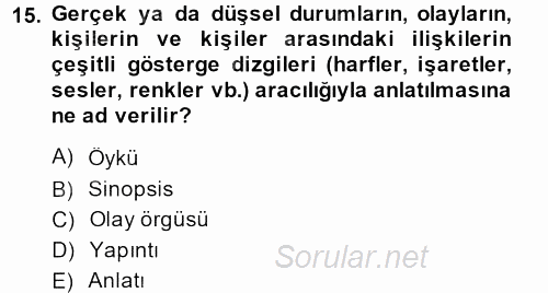 Güzel Sanatlar 2013 - 2014 Tek Ders Sınavı 15.Soru